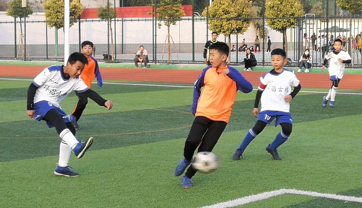 教练团队通 教练团队通